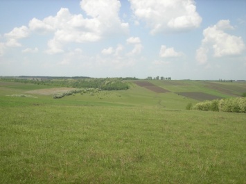 На Николаевщине прокуроры добиваются, чтобы фермеры вернули государству 30 гектаров земли