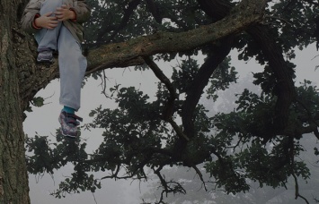 В Киеве ребенок застрял на дереве