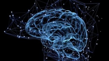 Ученые нашли отдел мозга, отвечающий за магические способности