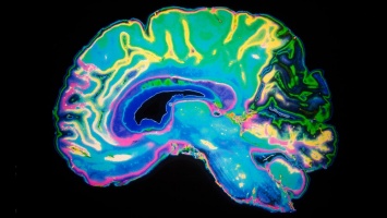 Ученые-нейробиологи составляют декодер эмоций в мозге