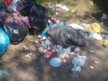 Перед Днем города лесопарк зачистят от мусора