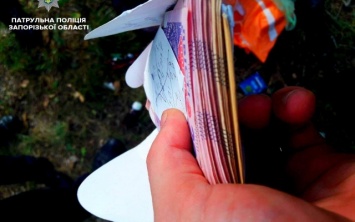 Нелепая кража: В Запорожье вор вырвал у старушки сумку с огромной суммой денег, однако не нашел их (ФОТО)