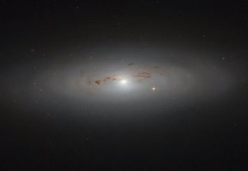 Галактики без звездных спиралей
