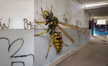 Удивительные трехмерные граффити от португальского художника (Фото)