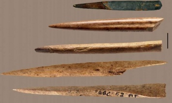 Ученые узнали, кости каких животных шли на изготовление наконечников древних орудий