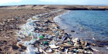 Количество пластика в морях за 10 лет может увеличиться втрое