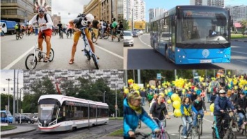 В Москве объявили, какие автобусы изменят маршруты движения 16 сентября
