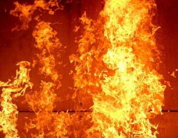 В Житомире произошел пожар в многоэтажке, жителей эвакуировали