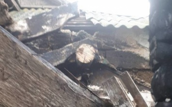 В херсонском селе местным жителям удалось затушить пожар водой из луж