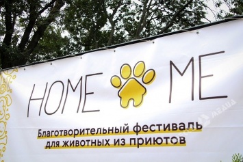 Свыше 200 кошек и собак искали дом на фестивале Home Me Fest в Одессе (фото)
