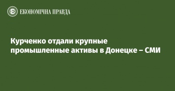 Курченко отдали крупные промышленные активы в Донецке - СМИ
