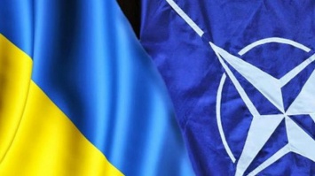 В НАТО не рассматривают идею синхронизации вступления Украины и Грузии в Альянс
