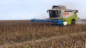 Рейдерство на Киевщине: "титушки" собрали урожай на 1,5 миллиона