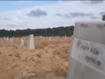 Под Санкт-Петербургом обнаружили сотни безымянных могил, российская правозащитница Васильева не исключает, что это жертвы войны на Донбассе