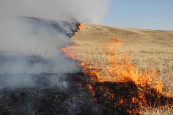 Из-за степного пожара эвакуируют жителей села в Оренбургской области