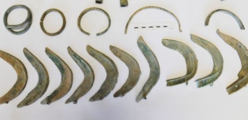 В Чехии пес выкопал клад бронзового века