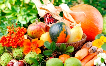 6 сезонных продуктов для крепкого здоровья