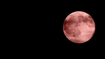 Россияне делятся фотографиями ярко-оранжевый Луны