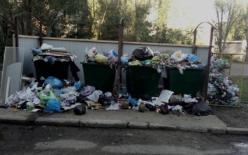 В Херсоне дворы превращаются в мусорные свалки