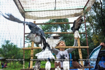 Не только голуби: в Первомайском парке прошел фестиваль птиц (ФОТОРЕПОРТАЖ)