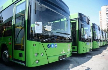 Житомир решил отказаться от покупки белорусских автобусов - из-за несоответствующей комплектации