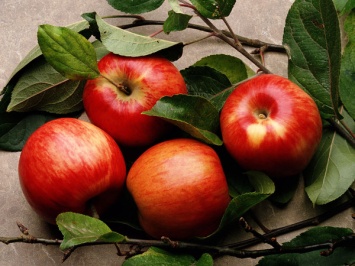 В Австралии женщина сообщила о странной находке в яблоке
