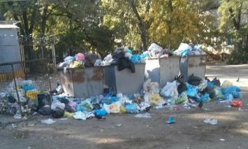 Северодонецк утопает в мусоре (фото)