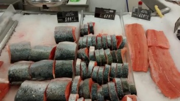 Грядет искусственный голод: На Камчатке рыбзаводы выбрасывают огромный улов