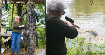 73-летняя бабушка сама убила 4-метрового крокодила, который съел ее пони