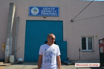 В Николаеве КП «Центр защиты животных» фактически не работает