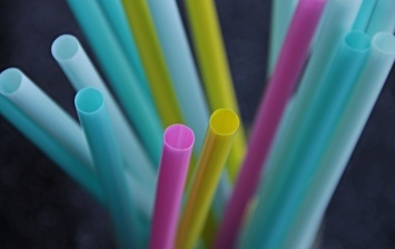 В Калифорнии ограничили использование пластиковых соломинок