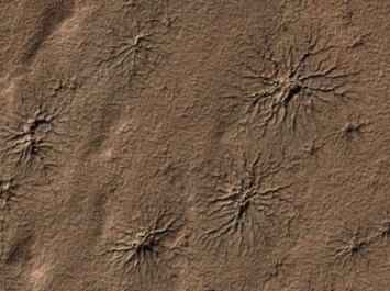 Замеченных на Марсе гигантских пауков в NASA назвали деталями ландшафта