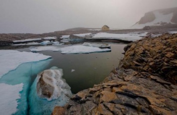 Климатическая катастрофа в Гренландии была случайно доказана дроном журналиста