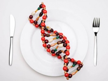 ДНК-диеты: много шума - и ничего?