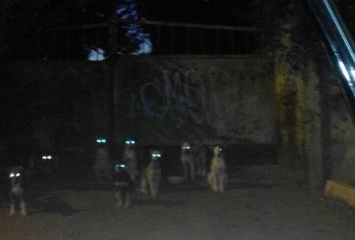 «Вонь собачьих какашек на детской площадке»: николаевцы жалуются на стаи бездомных животных