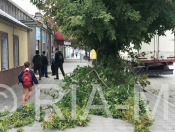 В Мелитополе дальнобойщик из Киева сломал дерево и оборвал провода