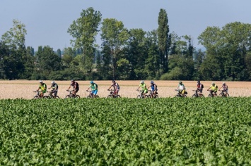 На референдуме жители Швейцарии скажут, что они думают по поводу продовольственной безопасности и велосипедов