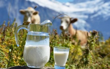 Специалисты советуют осенью употреблять молоко со специями