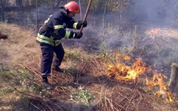 Пожар на Днепропетровщине: горело Куриловское лесничество