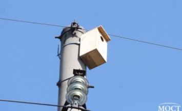 ДТЭК Днепровские электросети установили на электроопорах искусственные гнезда для защиты редких голубей-клинтухов
