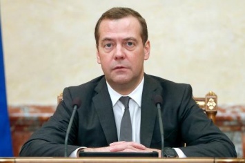 Медведев сообщил о новой стратегии развития лесного комплекса России