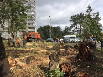 Не передумали: в Приднепровске спиливают деревья ради киосков