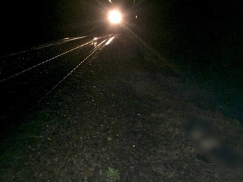 Под Харьковом поезд сбил насмерть пожилого мужчину