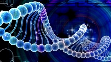 "Мусорная" ДНК может спровоцировать наркотическую зависимость