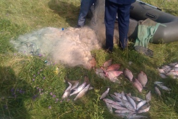 В Украине хотят увеличить штрафы за нарушение правил рыболовства