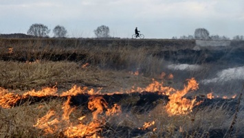 Пятидневное табу на костры: в Крыму объявлена высокая пожароопасность