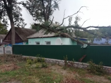 В Николаевской области спасатели убирали рухнувшие деревья с дорог и крыш