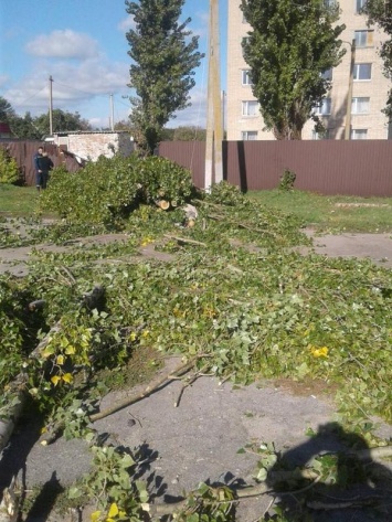 В Запорожской области на асфальт упал оголенный провод: погибла женщина