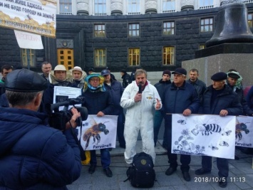 Пчеловоды Николаевщины митинговали под ВР и Кабмином с требованием внести криминальную ответственность за отравление пчел