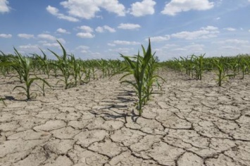 НАТО: Изменение климата на Земле препятствует усилиям по искоренению голода